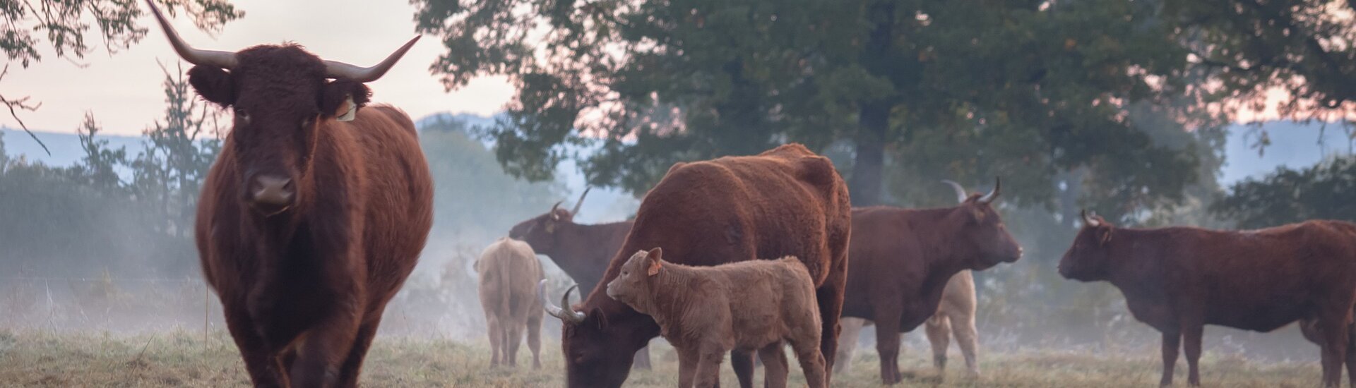 Agriculteurs et éleveurs de la commune du Theil