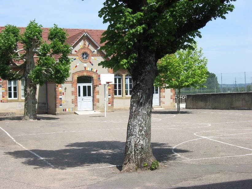 Description de l'image