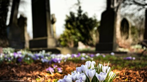 Tarifs concessions cimetière