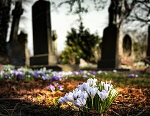 Tarifs concessions cimetière