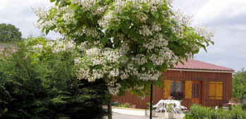 GITES DE FONTARIOL - Chambres d’hôtes